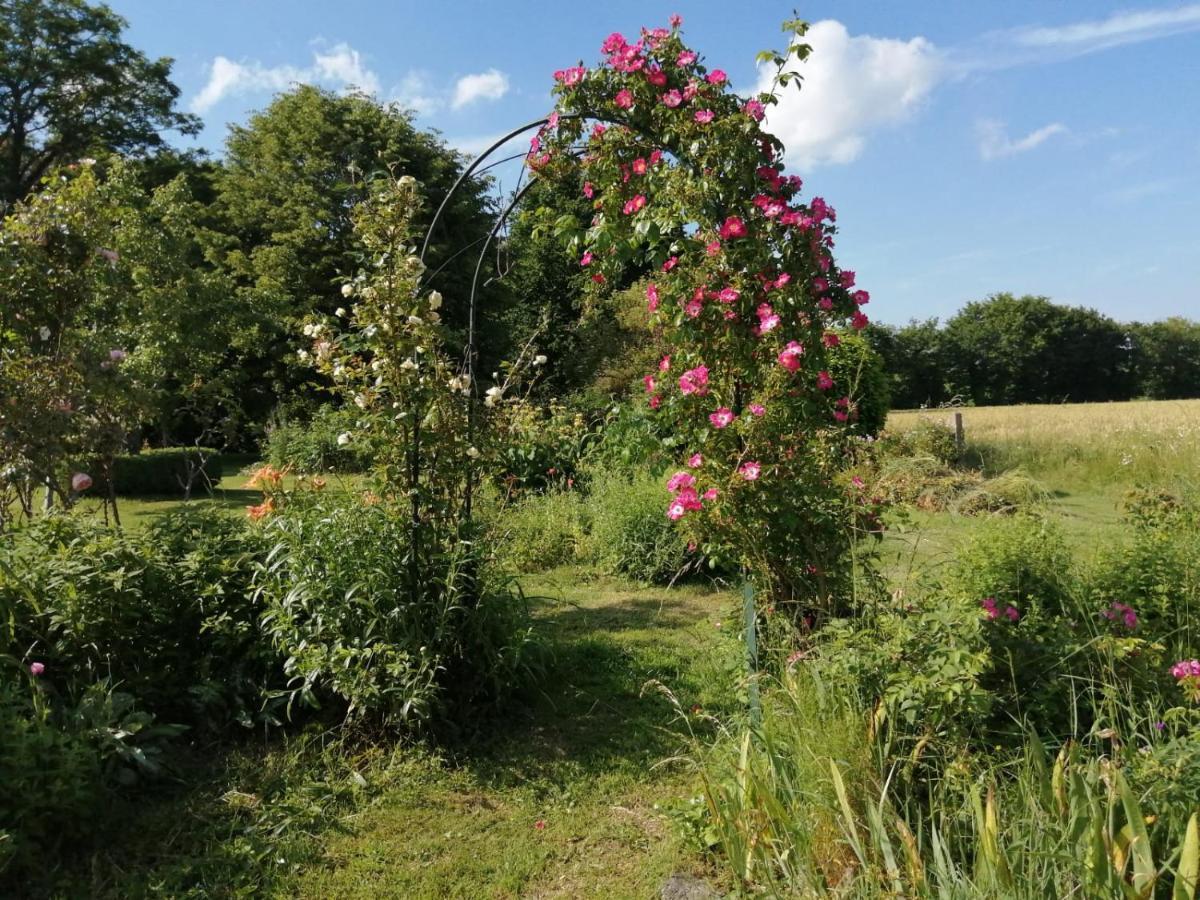 Les Berges De La Planchette Bed & Breakfast Yvignac-la-Tour Exterior foto